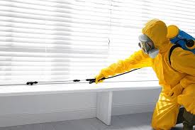 Best Fumigation Services  in Plainedge, NY